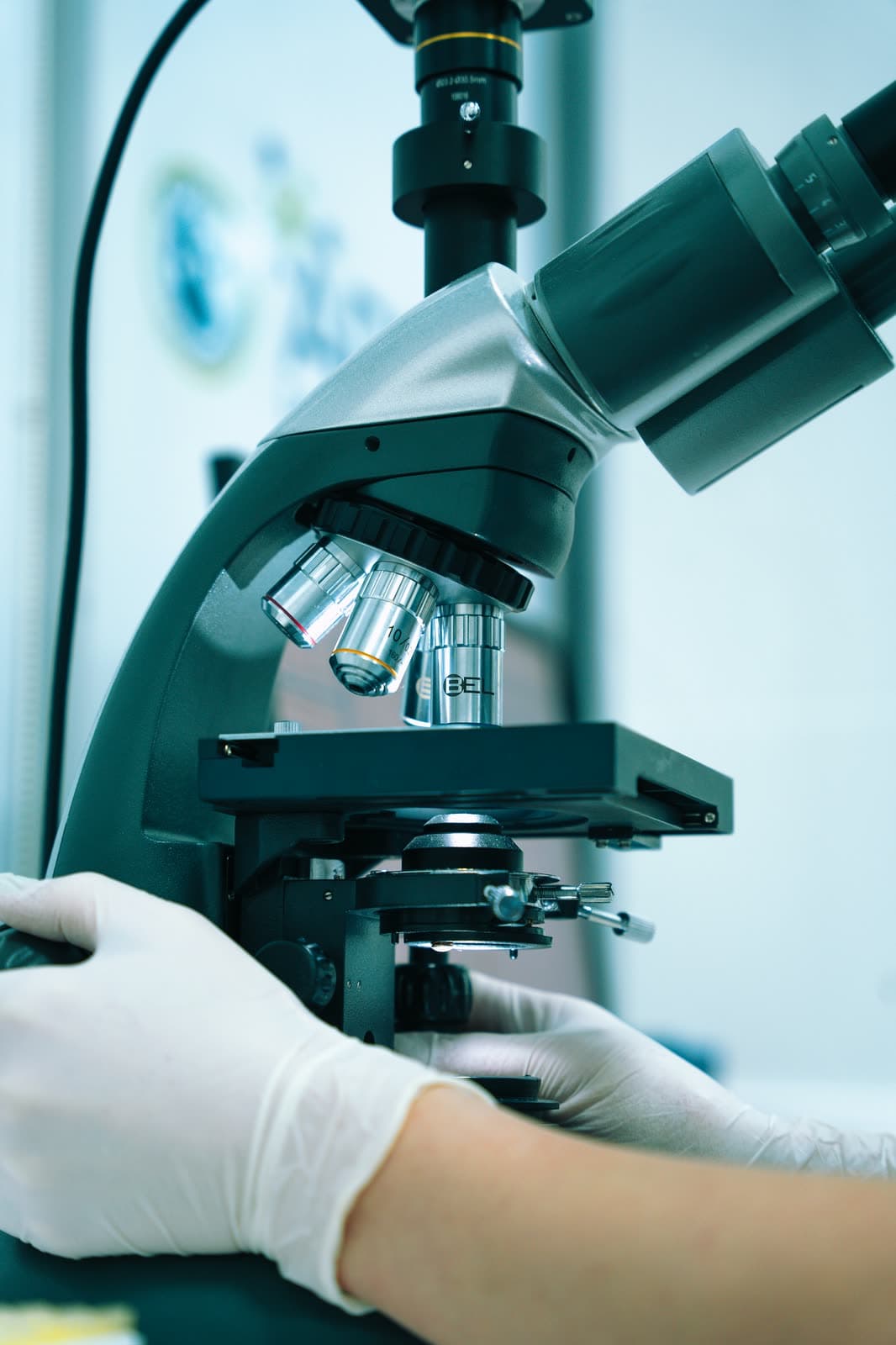 A gloved hand adjusting a laboratory microscope